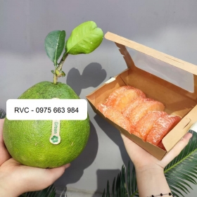 Hộp giấy kraft nắp kính thay thế bao bì nhựa truyền thống