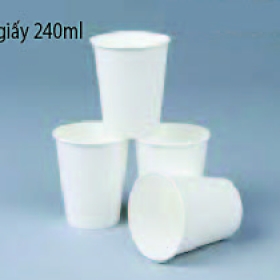 Ly Giấy Cao Cấp 240ml Đựng Cafe Nóng Văn Phòng 